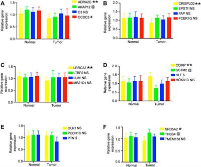 Utilization of hypoxia-derived gene signatures to predict clinical outcomes and immune checkpoint blockade therapy responses in prostate cancer